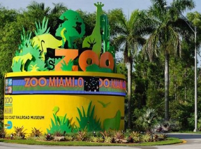Экскурсия в зоопарк Майами (индивидуальная)